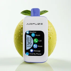 AirFuze Smart 30000 Puffs Disposable Pod Miami Mynte 900mAh Type-C - Online Store