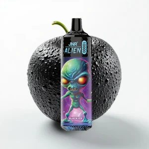 JNR Alien 10000 Puffs 850mAh Svart Is RGB - Online Store
