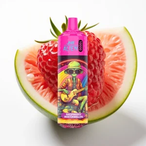 JNR Alien 10000 Puffs 850mAh Type-C Bringebær Vannmelon - Online Store