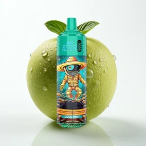 JNR Alien 10000 Puffs 850mAh Type-C Kjølig Mynte - Online Store