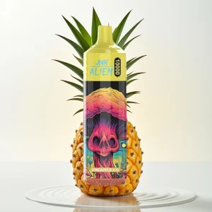JNR Alien 10000 Puffs Ananasis Type-C RGB - Online Store