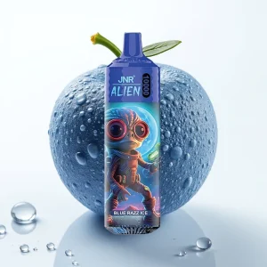 JNR Alien 10000 Puffs Blåbringebær Is 850mAh Type-C RGB - Online Store