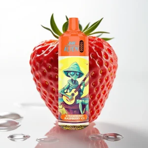 JNR Alien 10000 Puffs Jordbær Bringebær Is 850mAh Type-C RGB - Online Store