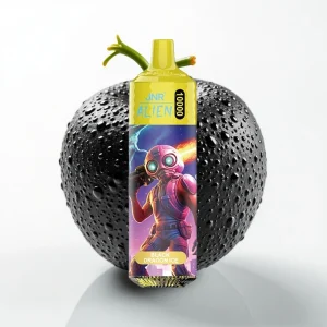 JNR Alien 10000 Puffs Svart Drage Is 850mAh Type-C RGB - Online Store