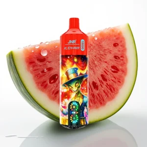 JNR Alien Max 18000 Puffs Dual Mesh Vannmelon Is Type-C - Online Store