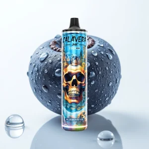 JNR Calavera 11000 Puffs Blåbær Is Type-C 850mAh 21ml - Online Store