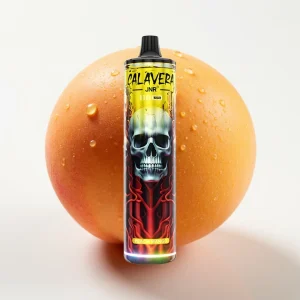 JNR Calavera 11000 Puffs Peach Mango Type-C 850mAh - Online Store