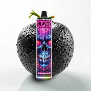 JNR Calavera 11000 Puffs Svart Drage Is Type-C 850mAh - Online Store