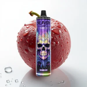 JNR Calavera 11000 Puffs Type-C 850mAh Druer Is - Online Store