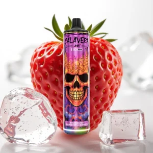 JNR Calavera 11000 Puffs Type-C 850mAh Jordbær Bringebær Kirsebær Is - Online Store