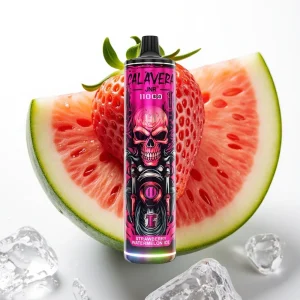 JNR Calavera 11000 Puffs Type-C 850mAh Jordbær Vannmelon Is - Online Store