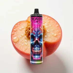 JNR Calavera 11000 Puffs Type-C Fersken Is - Online Store