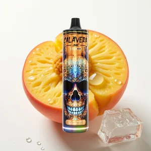 JNR Calavera 11000 Puffs Type-C Peach Mango Ananas Is - Online Store