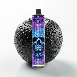 JNR Calavera 11000 Puffs Type-C Svart Is - Online Store