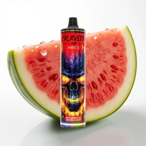JNR Calavera 11000 Puffs Type-C Vannmelon Tyggegummi - Online Store