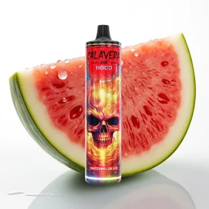 JNR Calavera 11000 Puffs Vannmelon Is Disposable Vape med Type-C og 850mAh - Online Store