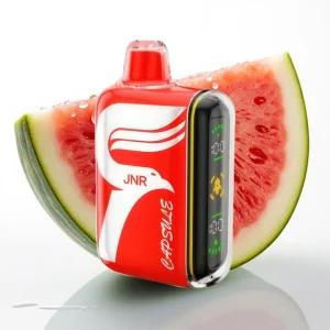JNR Capsule 15000 Puffs 850mAh 20ml Vannmelon Is - Online Store