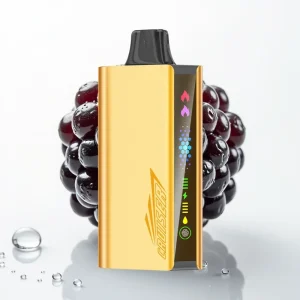 JNR Cruiser 12000 Puffs Ingen Lading Disposable Vape Blackbær Is - Online Store