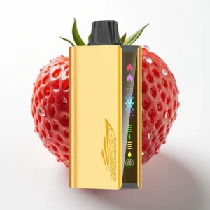 JNR Cruiser 12000 Puffs Ingen Lading Disposable Vape Blandet Bær - Online Store