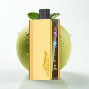 JNR Cruiser 12000 Puffs Ingen Lading Disposable Vape Kjølig Mynte Full-Metal Aluminum Body - Online Store