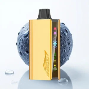 JNR Cruiser 12000 Puffs Ingen Ladning Disposable Vape Blåbærsmell - Online Store