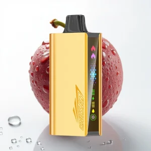 JNR Cruiser 12000 Puffs Ladefri Disposable Vape Druer Is Full-Metal - Online Store