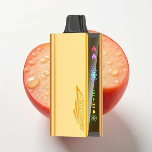 JNR Cruiser 12000 Puffs No-Charge 3500mAh Fersken Is Full-Metal - Online Store