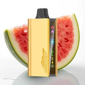 JNR Cruiser 12000 Puffs No-Charge 3500mAh Vannmelon Is - Online Store