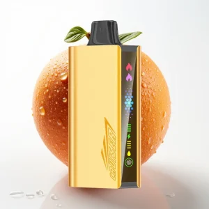 JNR Cruiser 12000 Puffs Oppladbar E-damp Cool Fanta 3500mAh Metall - Online Store