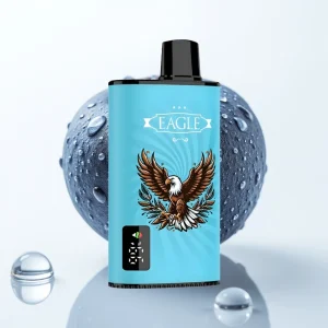 JNR EAGLE Smart 23000 Puffs Blåbær Is Digital Skjerm 1.0ohm Mesh - Online Store