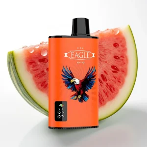 JNR EAGLE Smart 23000 Puffs Digital Skjerm 1.0ohm Mesh Vannmelon Bubblegum - Online Store