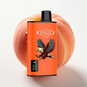 JNR EAGLE Smart 23000 Puffs Digital Skjerm Juicy Fersken 25ml - Online Store