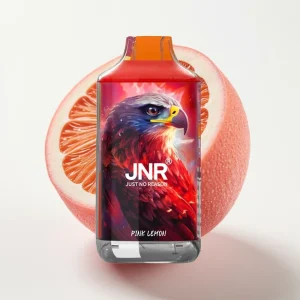 JNR Falcon 16000 Puffs 22ml Rosa Sitron Type C - Online Store