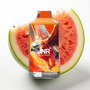 JNR Falcon 16000 Puffs 850mAh Type-C Vannmelon Mango Fersken - Online Store