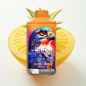 JNR Falcon 16000 Puffs Ananas Mango Appelsin 22ml Type C - Online Store
