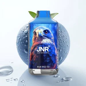 JNR Falcon 16000 Puffs Blå Razz Is 850mAh Type C - Online Store