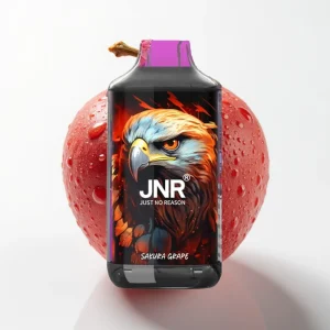 JNR Falcon 16000 Puffs Sakura Druer 850mAh Type C - Online Store