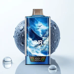 JNR Falcon Pro 28000 Blåbær Is 30ml Smart Display Dual Mesh - Online Store