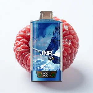 JNR Falcon Pro 28000 Blåbær Sur Bringebær 30ml 950mAh - Online Store