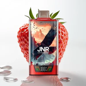 JNR Falcon Pro 28000 Disposable 30ml Jordbær Is - Online Store