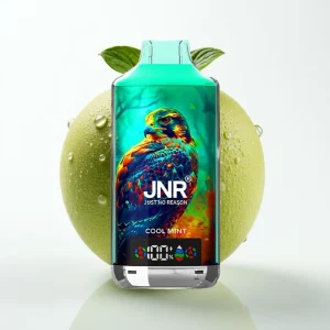 JNR Falcon X 18000 Puffs 24ml Dual Mesh Cool Mint - Online Store