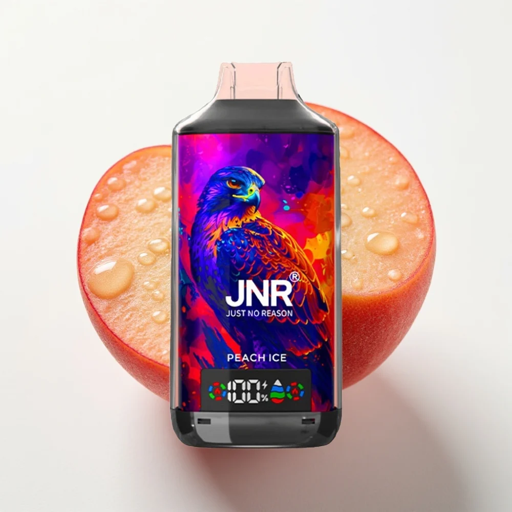 JNR Falcon X 18000 Puffs 24ml Dual Mesh Peach Is - Online Store