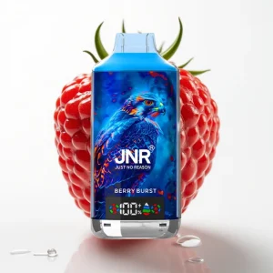 JNR Falcon X 18000 Puffs 750mAh Bærbris Dual Mesh - Online Store
