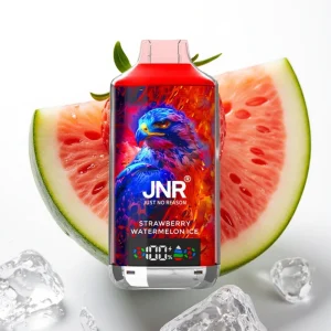 JNR Falcon X 18000 Puffs 750mAh Type-C Jordbær Vannmelon Is - Online Store