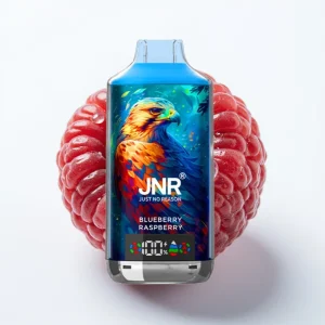 JNR Falcon X 18000 Puffs Blåbær Bringebær Dual Mesh 24ml 750mAh - Online Store