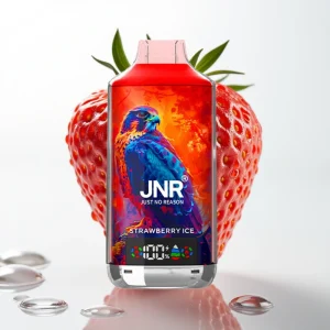 JNR Falcon X 18000 Puffs Dual Mesh 24ml Jordbær Is - Online Store