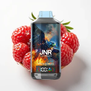 JNR Falcon X 18000 Puffs Dual Mesh Blandede Bær 24ml Type-C - Online Store