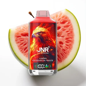 JNR Falcon X 18000 Puffs Kirsebær Vannmelon Freeze 24ml Dual Mesh - Online Store