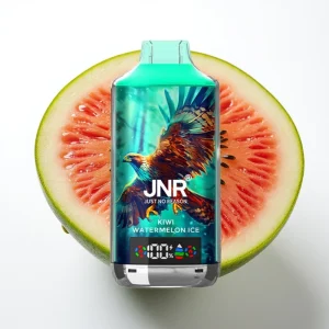 JNR Falcon X 18000 Puffs Kiwi Vannmelon Is 750mAh Type-C - Online Store