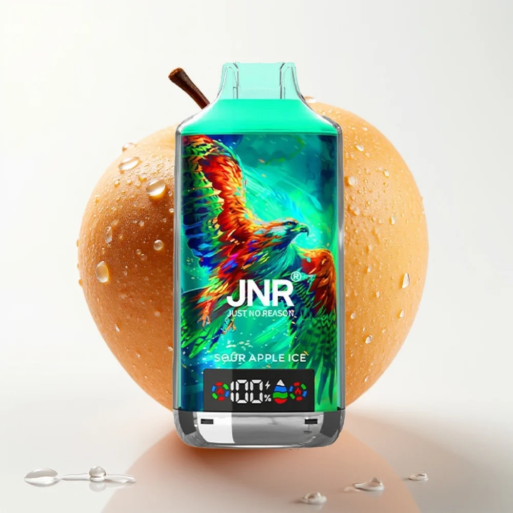 JNR Falcon X 18000 Puffs Sur Eple Is 24ml 750mAh Type-C - Online Store